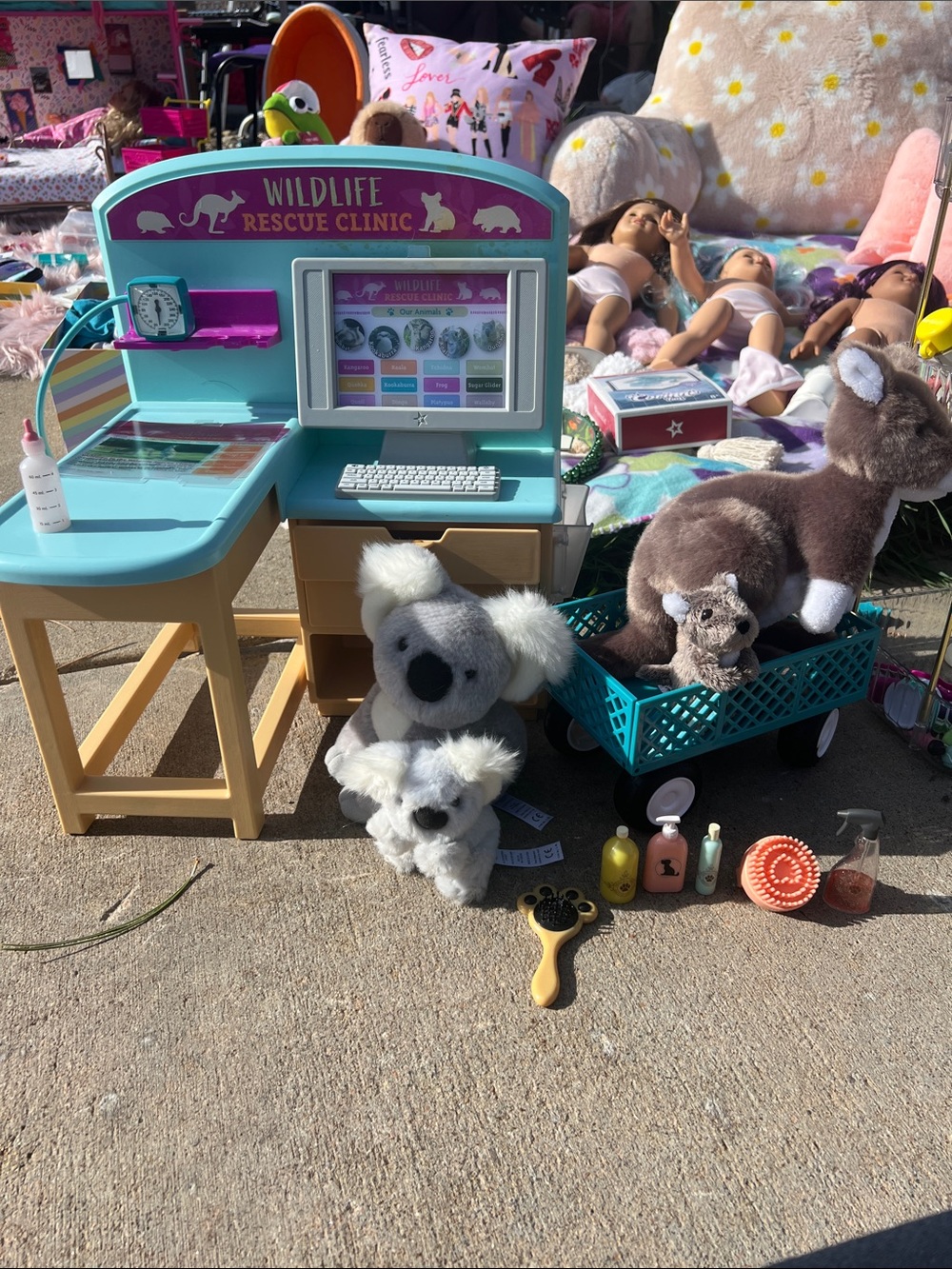 American Girl Wildlife Rescue Clinic Playset in Teal and Purple